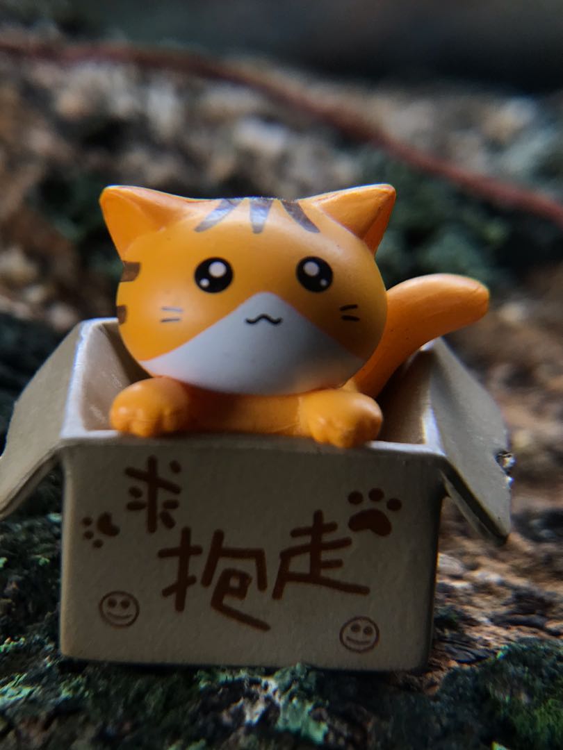Toy Photography 