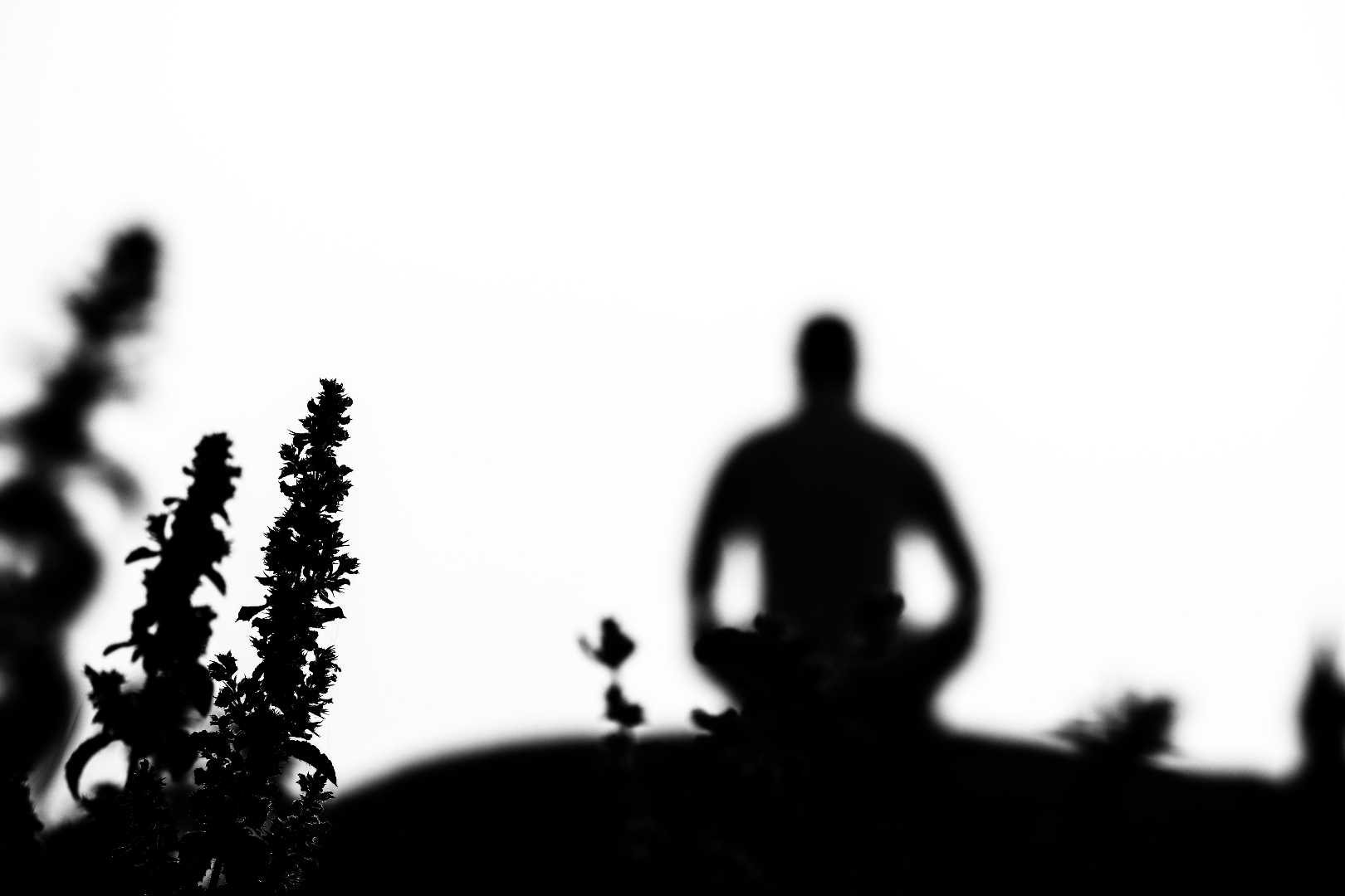 YOG
