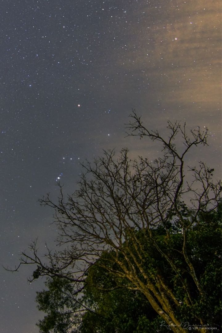 A night under a thousand stars