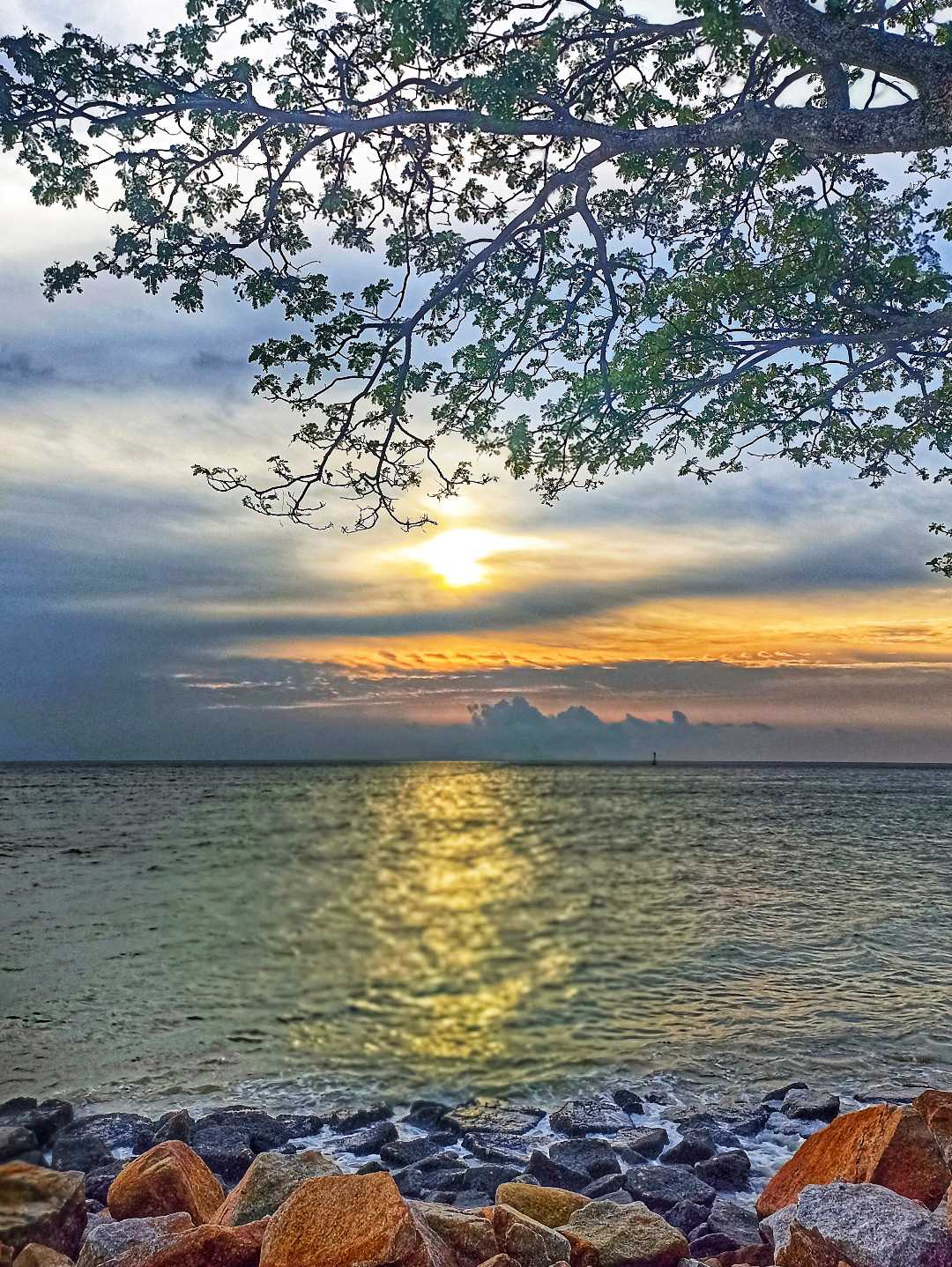 Sunsets 