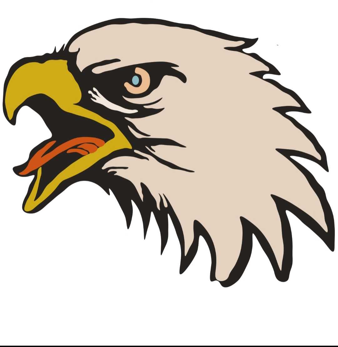 eagle 🦅