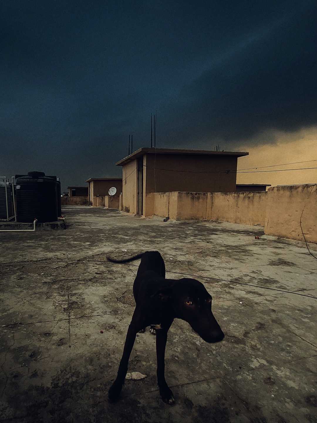 Moody