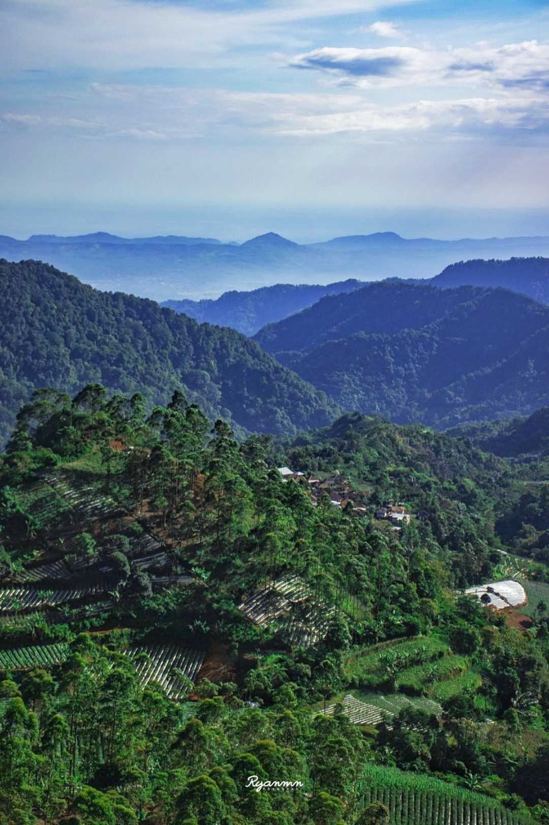 The Peak of Eurad