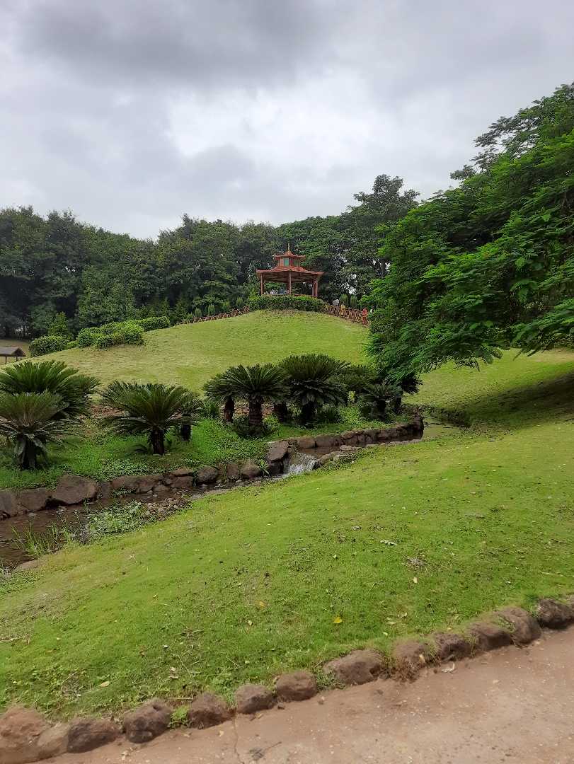 Friendship garden 