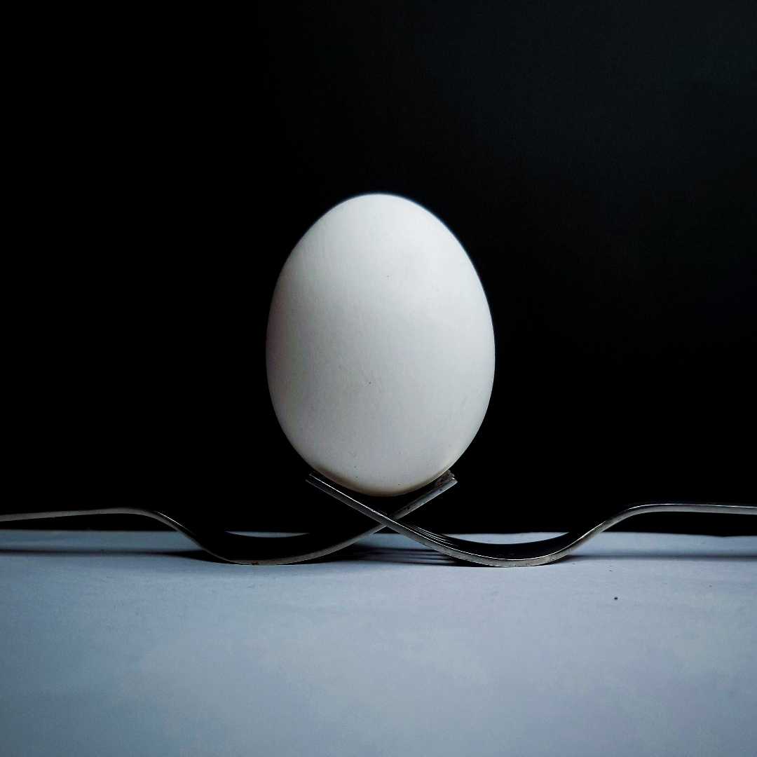 egg photography 🥚🥚