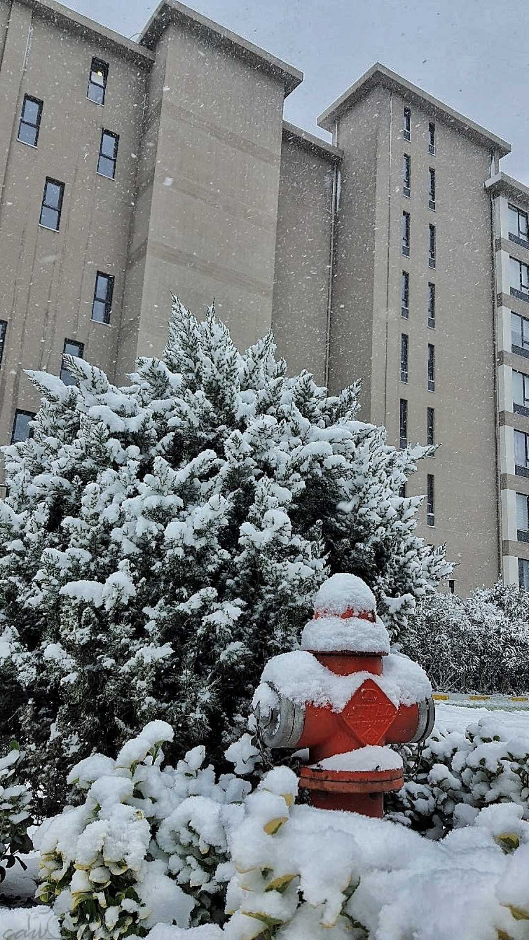 Karlı Günlerden 🌨️