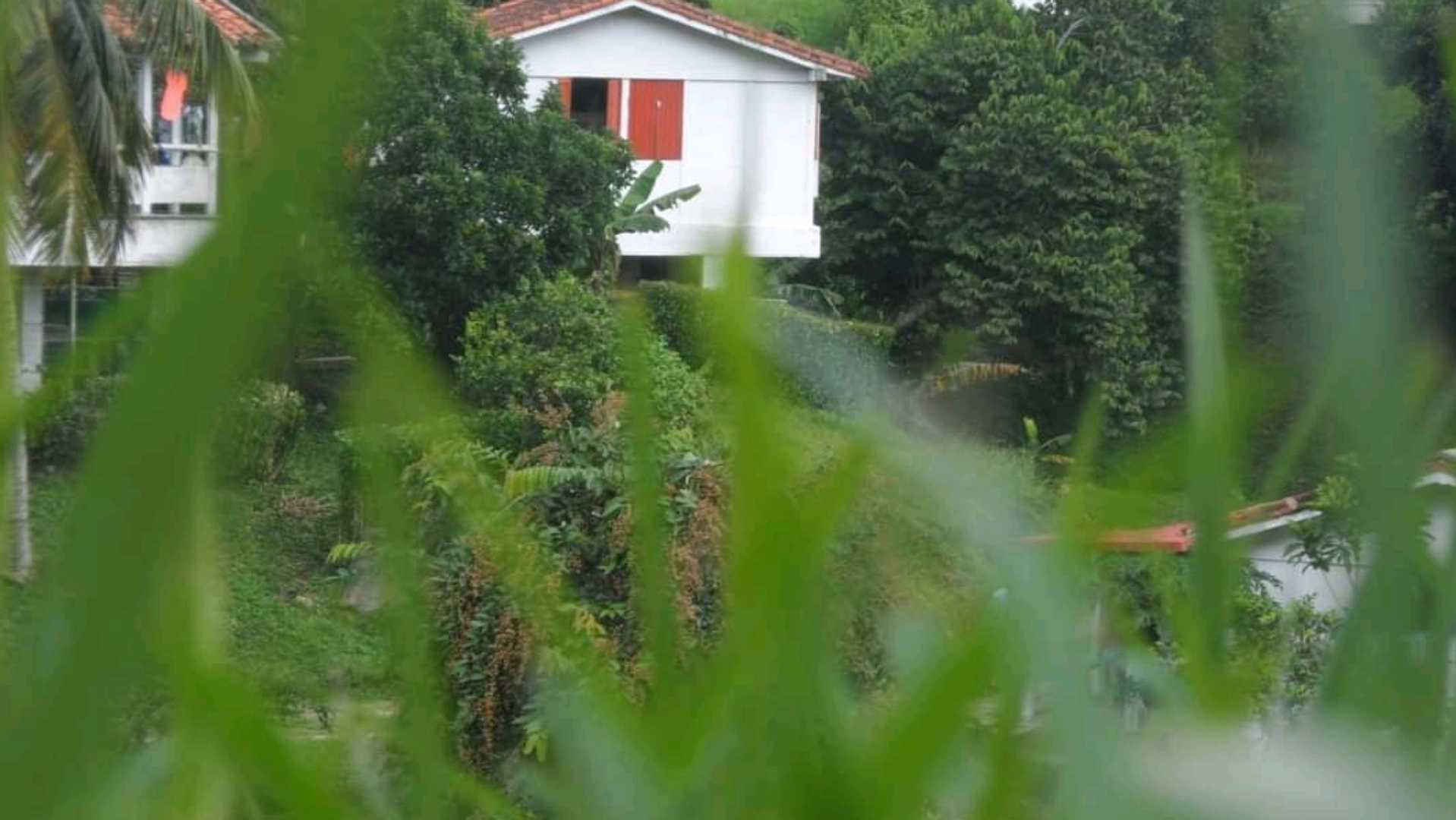 Pueblito encantado
