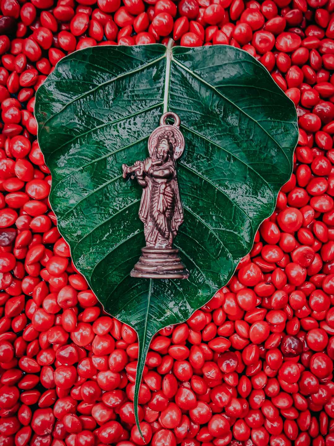 sree krishna 