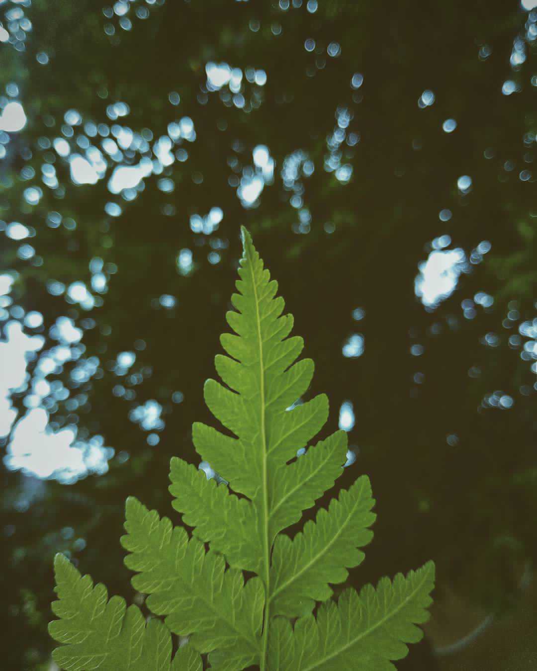 💚