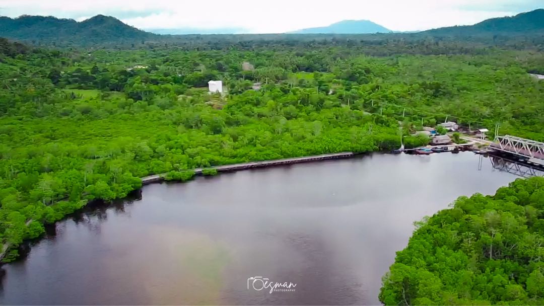 Hutan Mangrove Setengar - Natuna