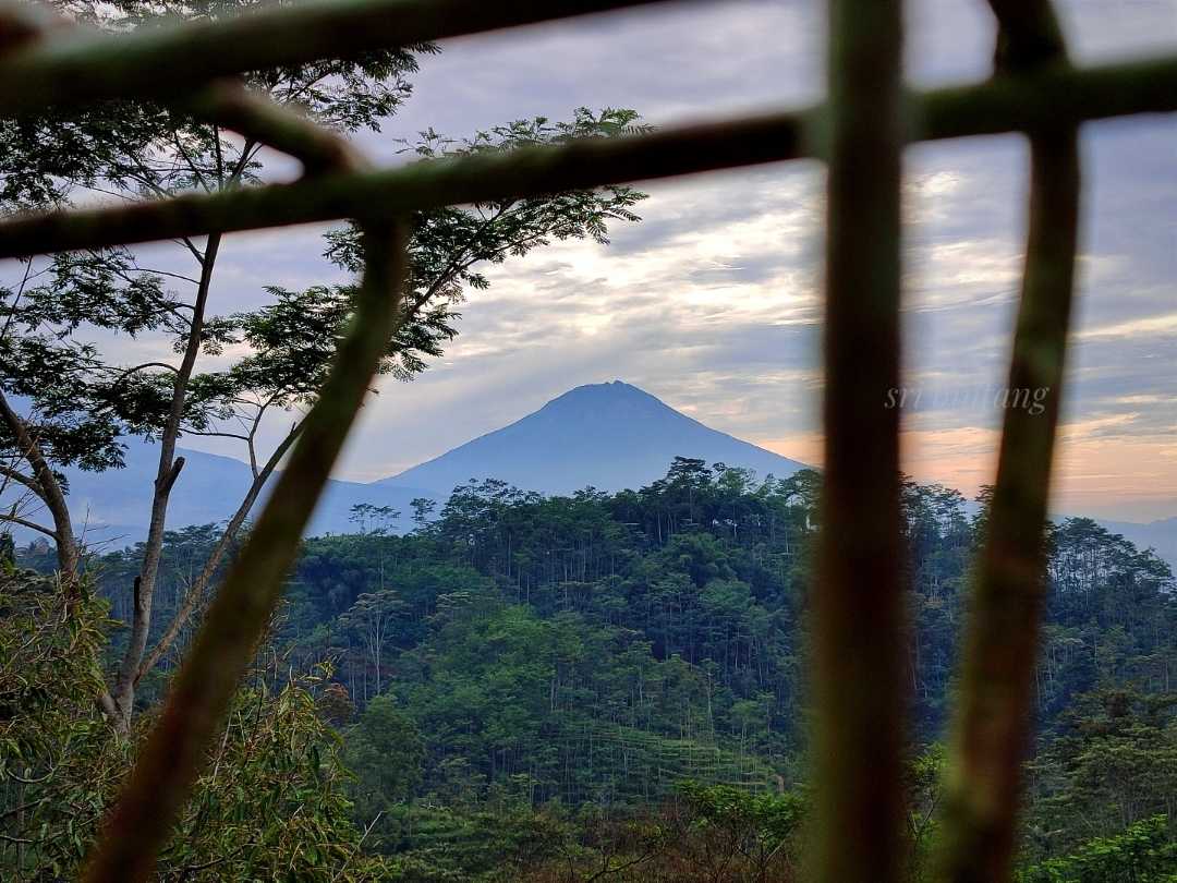 mt sumbing in frame