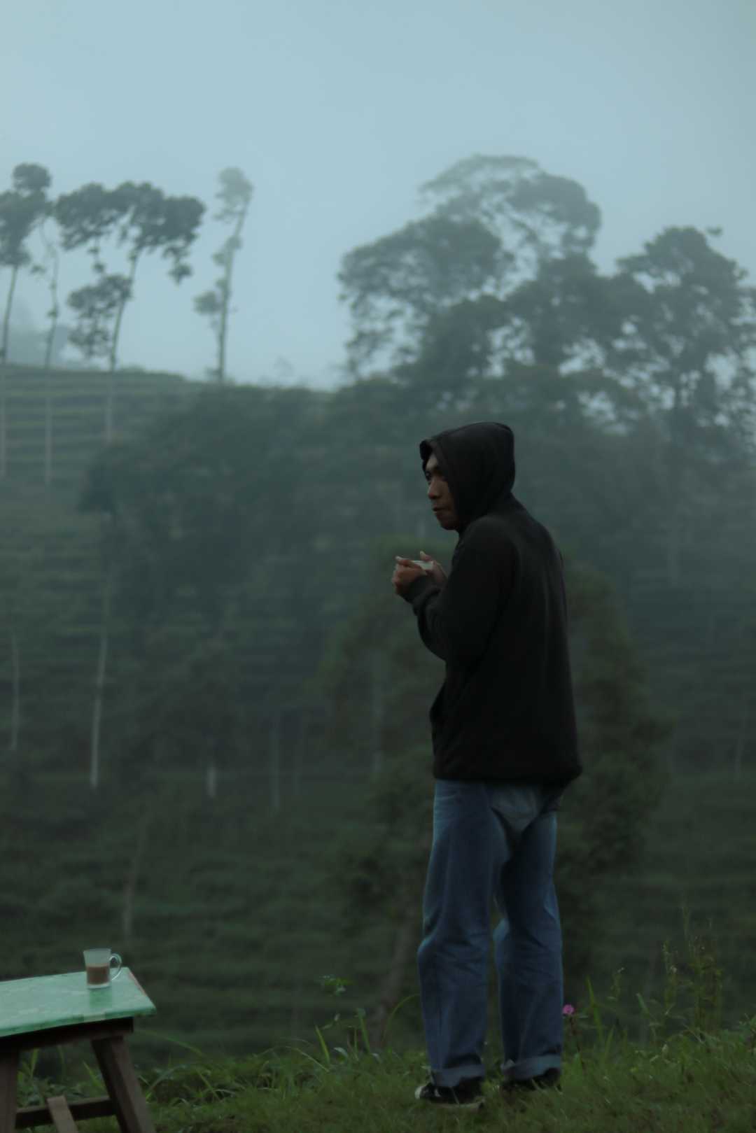 pagilaran tea garden