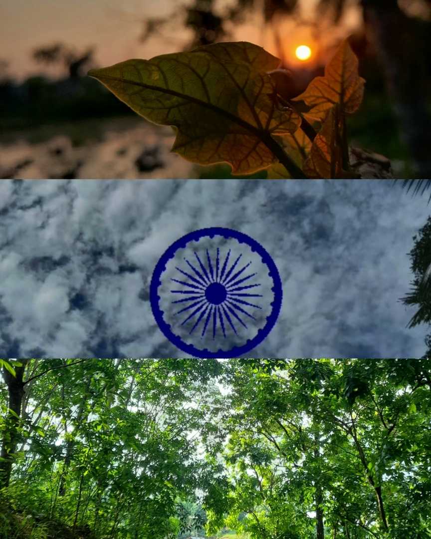 Indian Flag Colour 🇮🇳