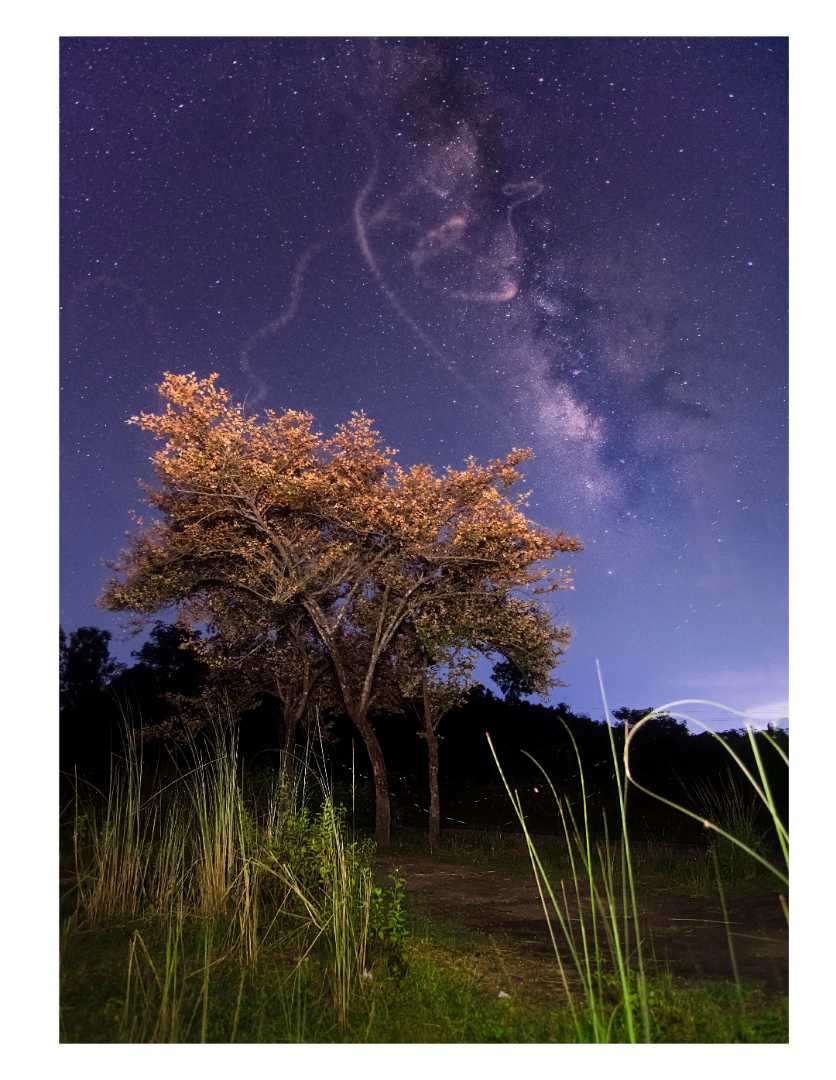 //Soaring Fireflies In The Purple Galaxy//