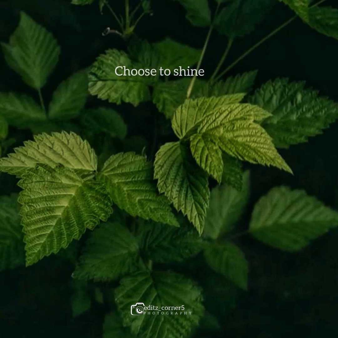 kerala