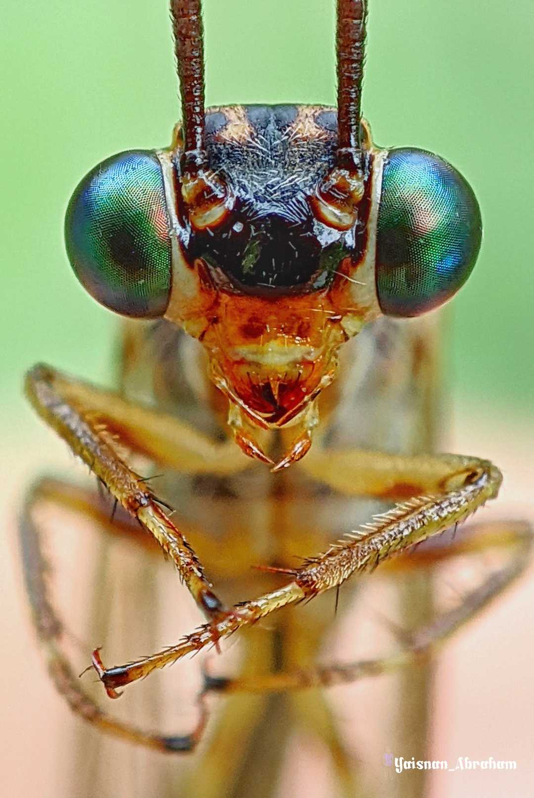 macro ekstrem