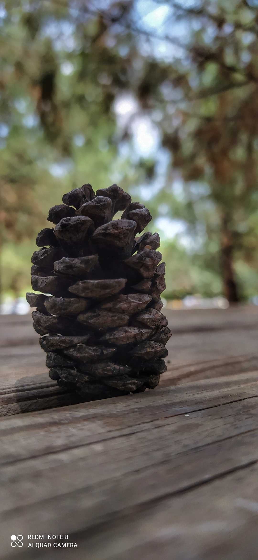 bugün buraya bişi yazmayacağım