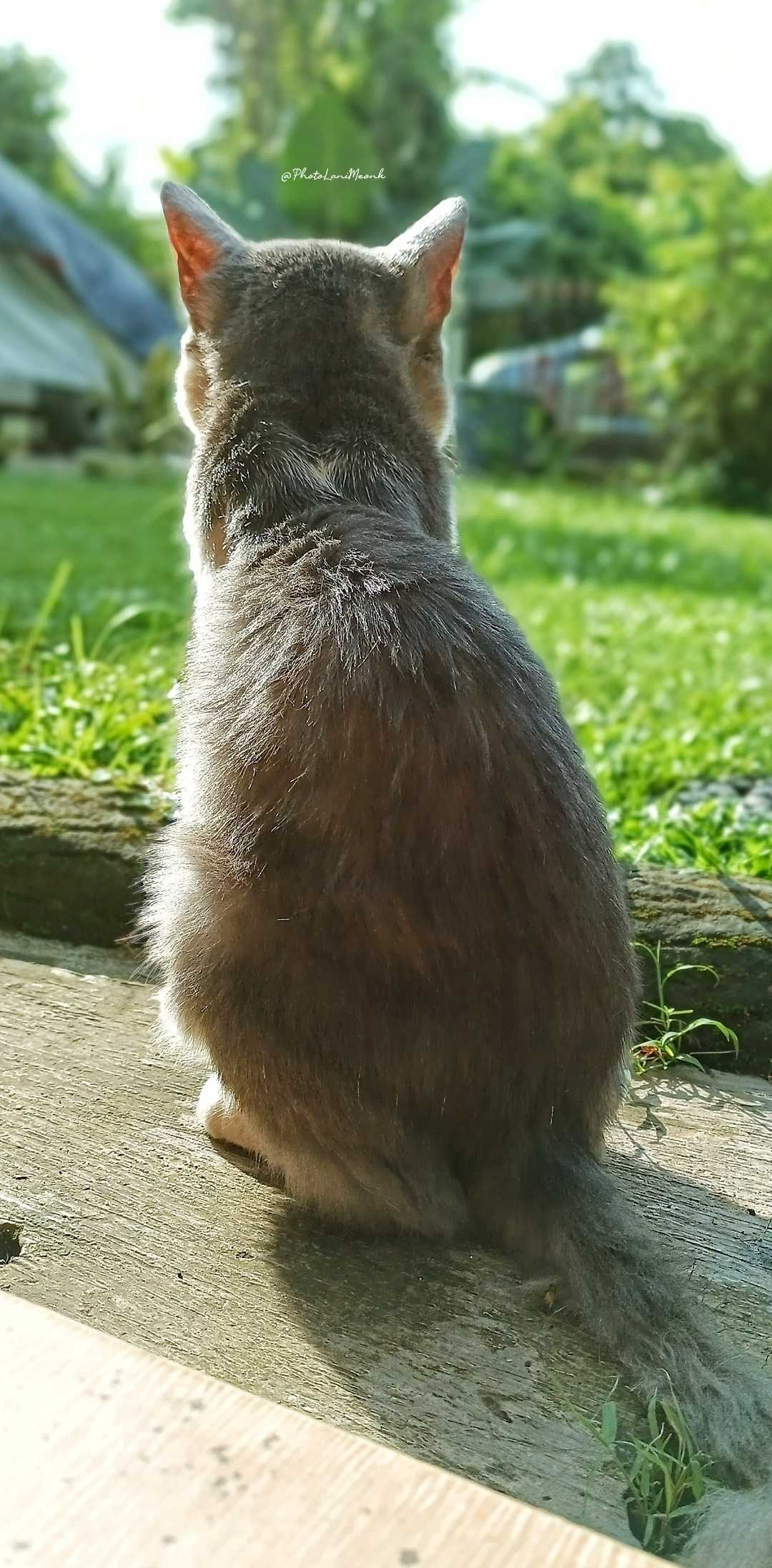 "Bolu"