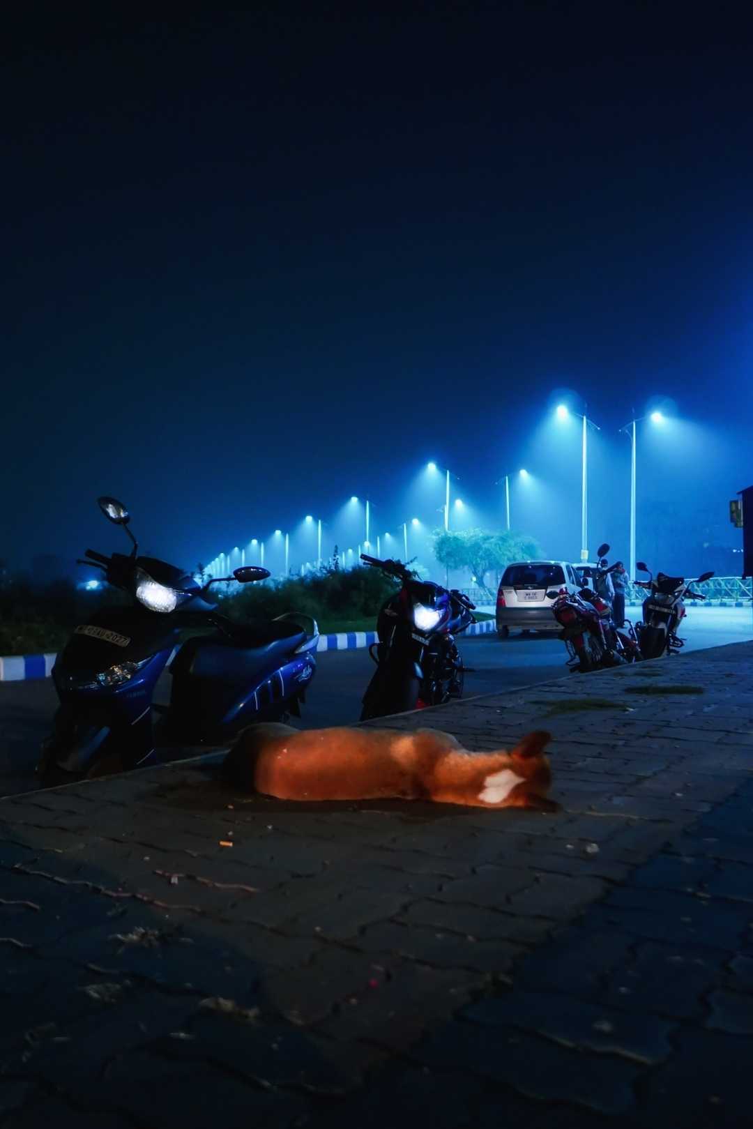 Winter's sleep