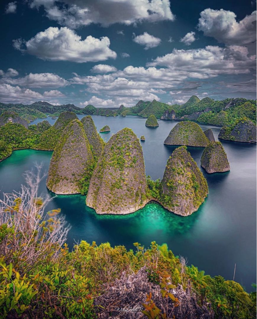 RAJA AMPAT