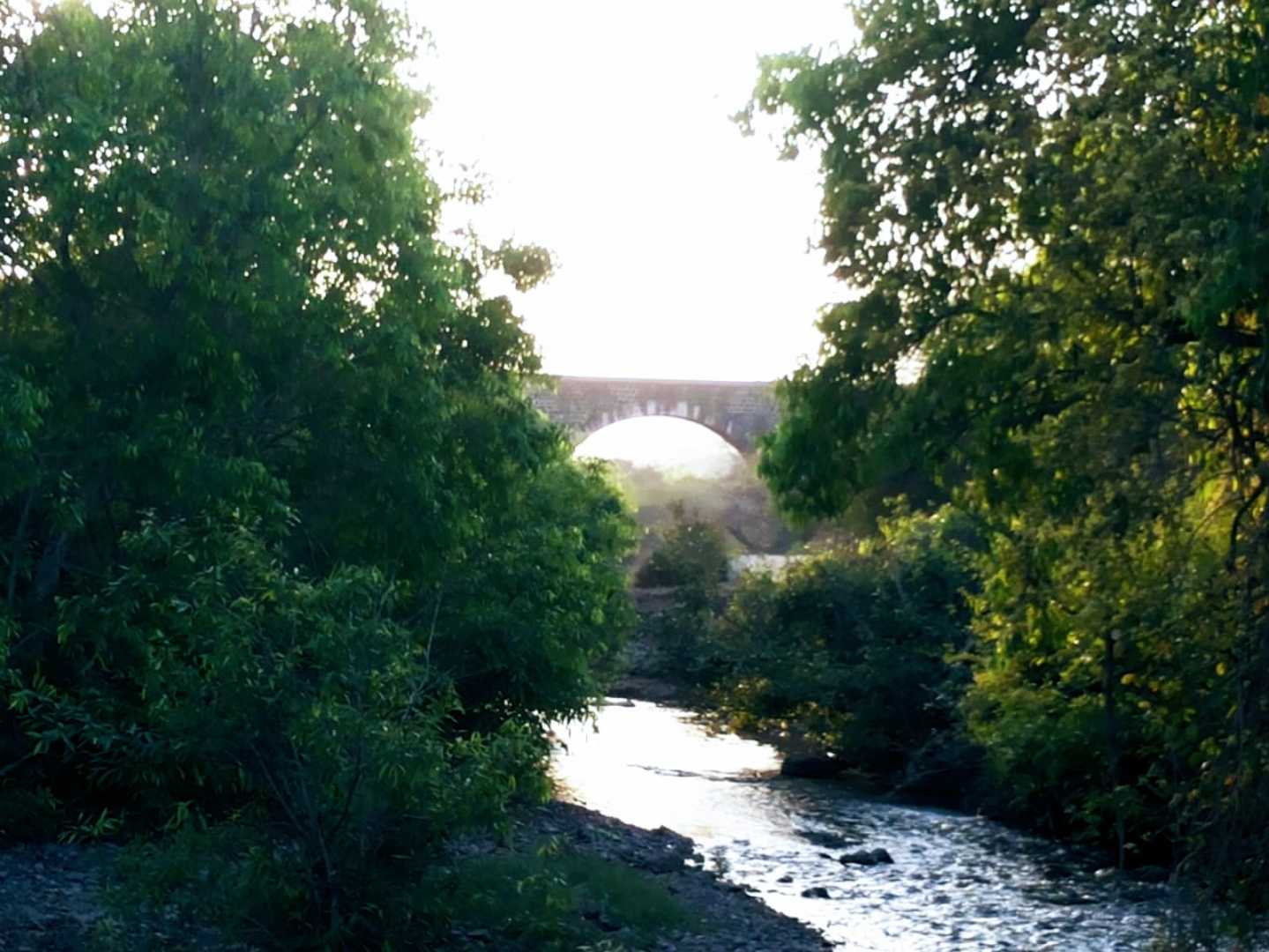 beautiful nature