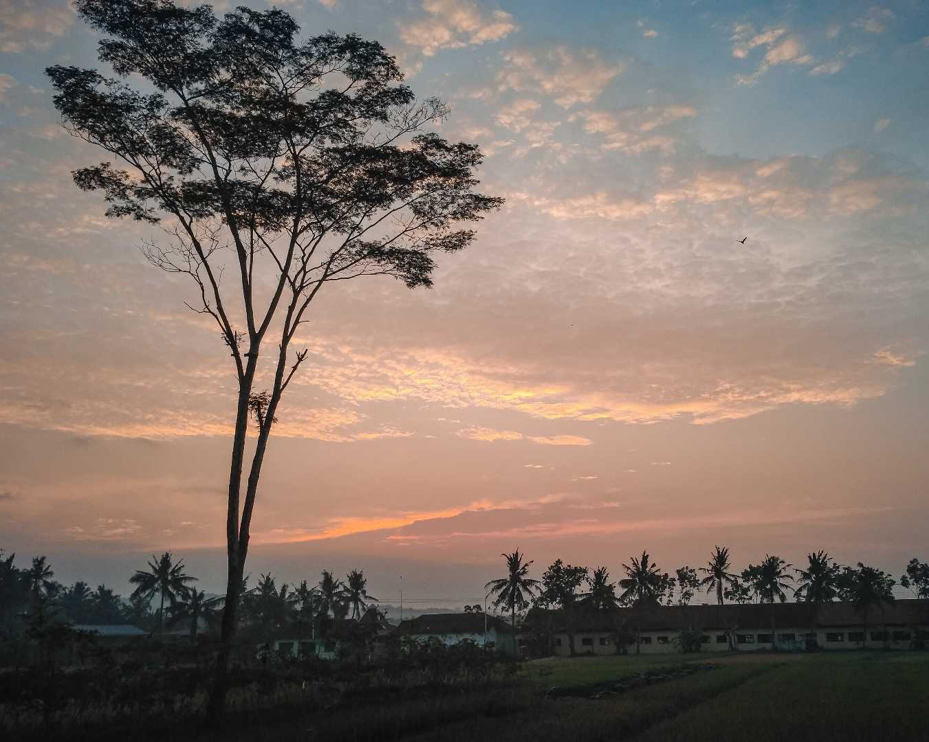 Saat Langit berwarna Merah