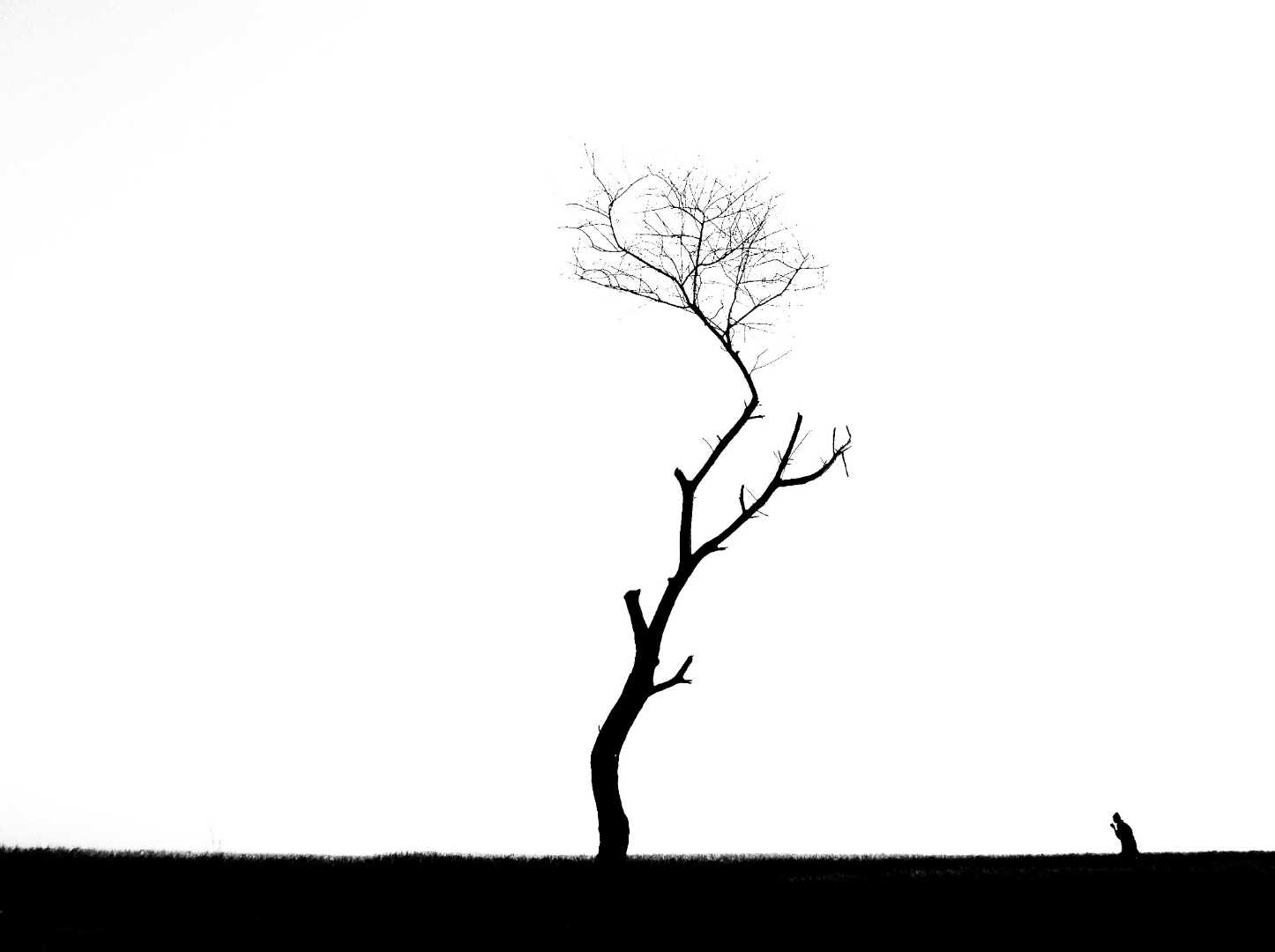 Minimalist