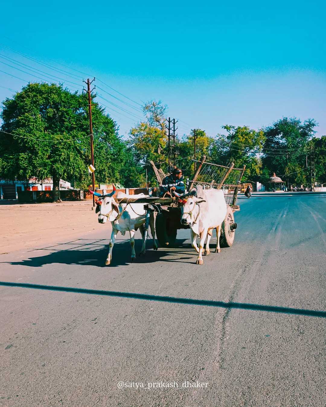Rural rajasthan 