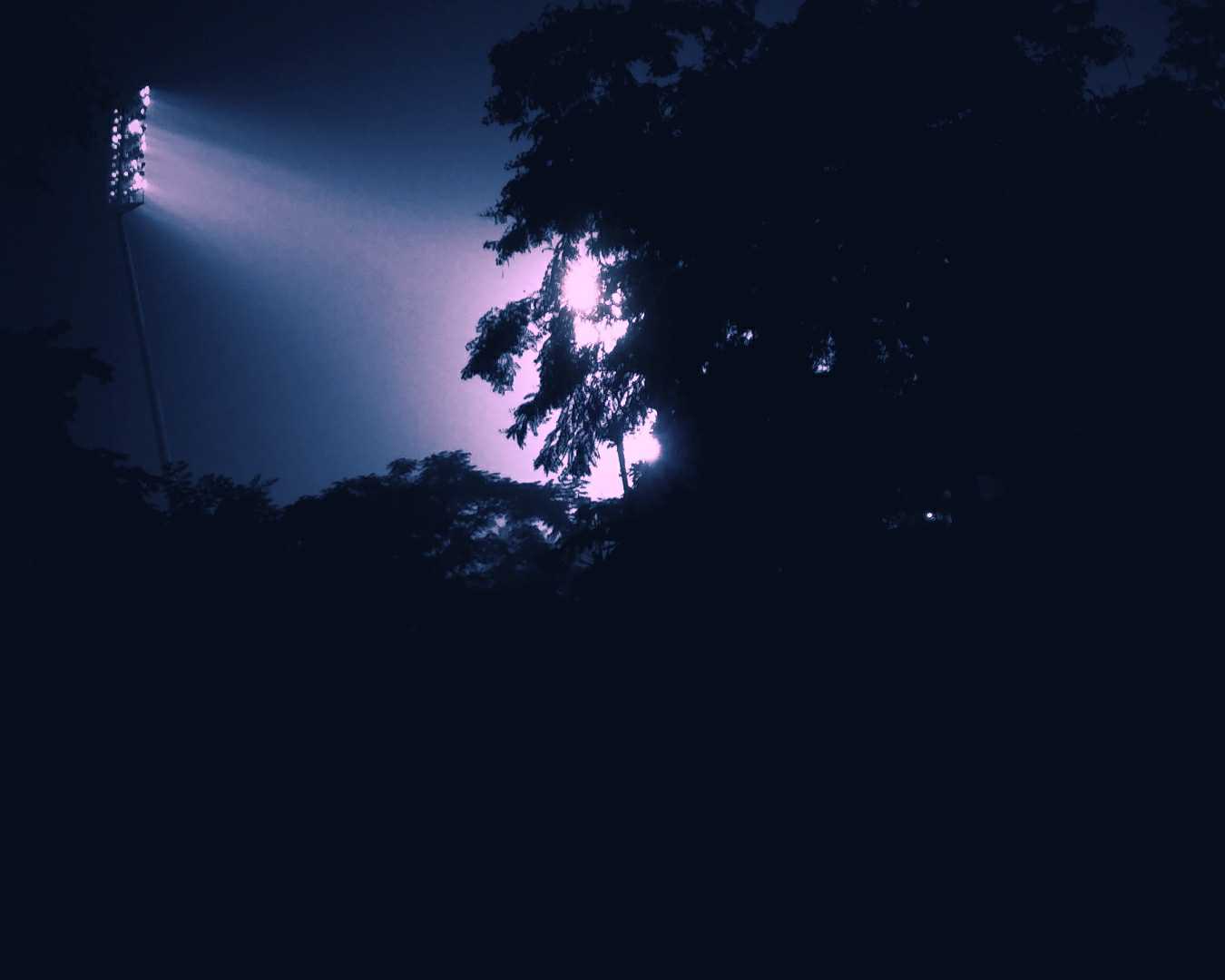 Lights in the Darkness