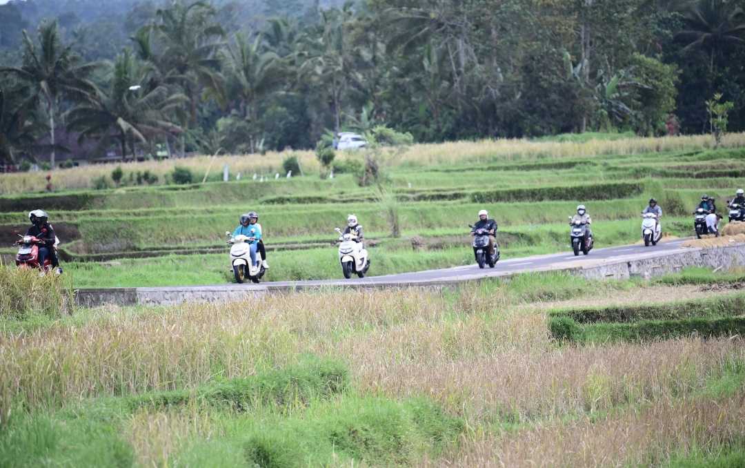 Gass