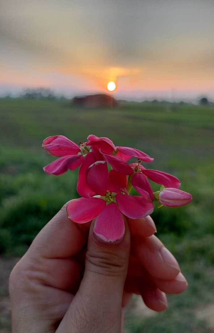 🌇 Sunset