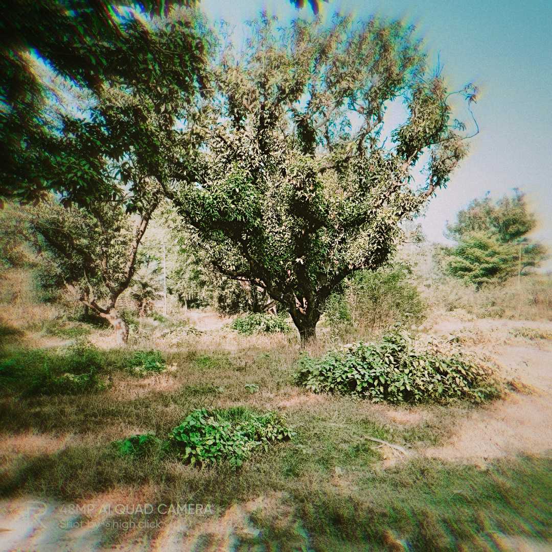 illusion 