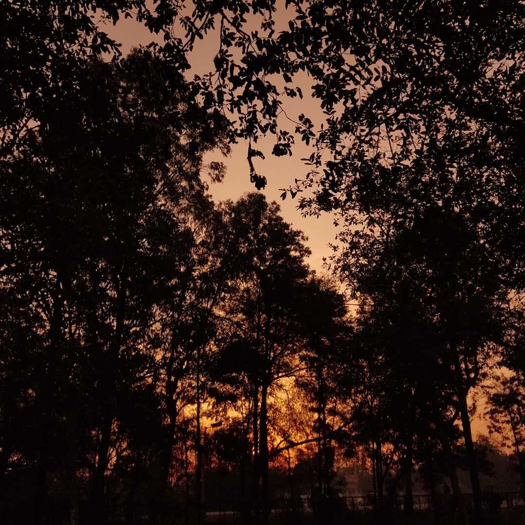 Nature's heart