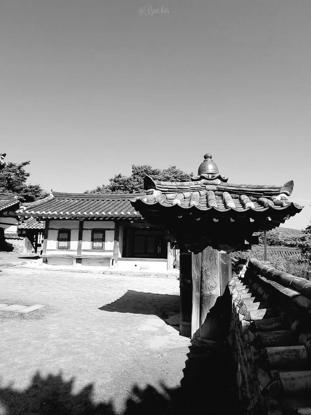 rumah dinasty