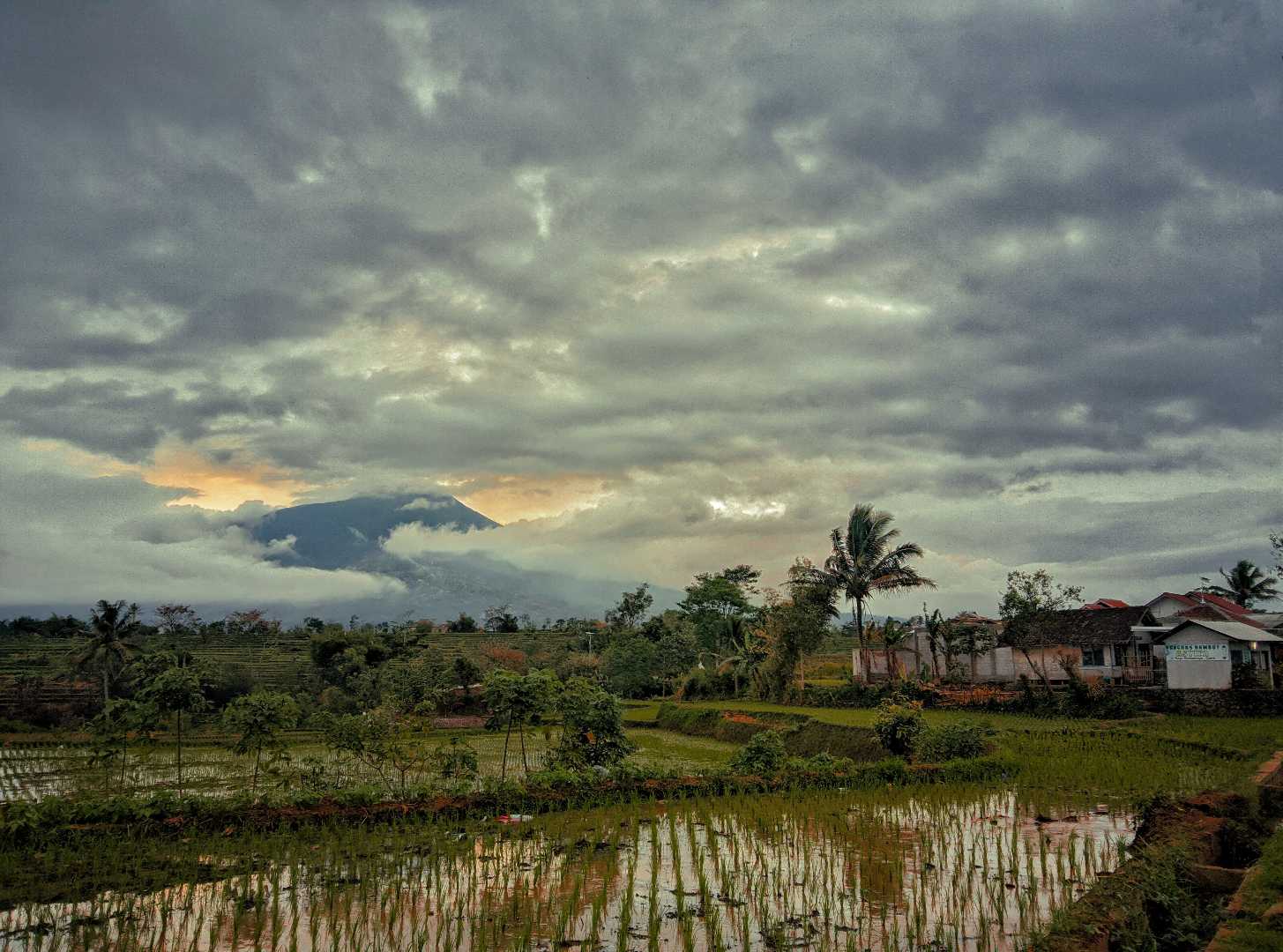 my village