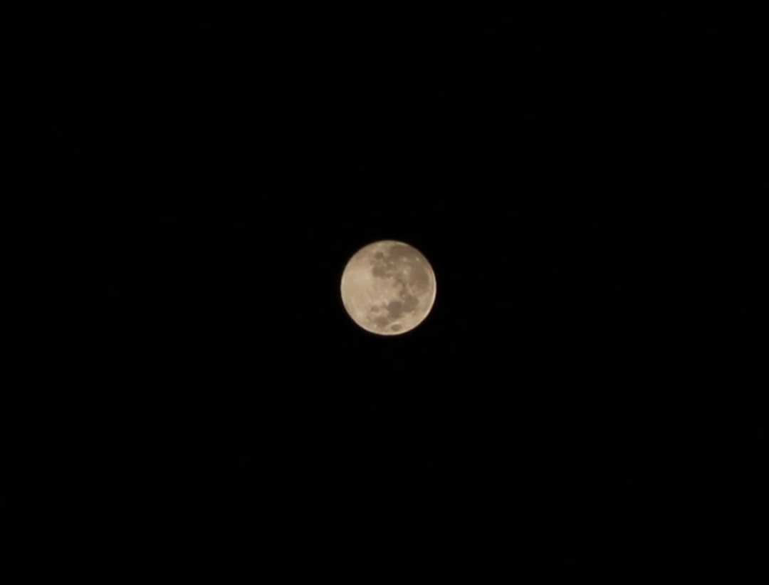 Last Full Moon of 2024(Cold Moon)