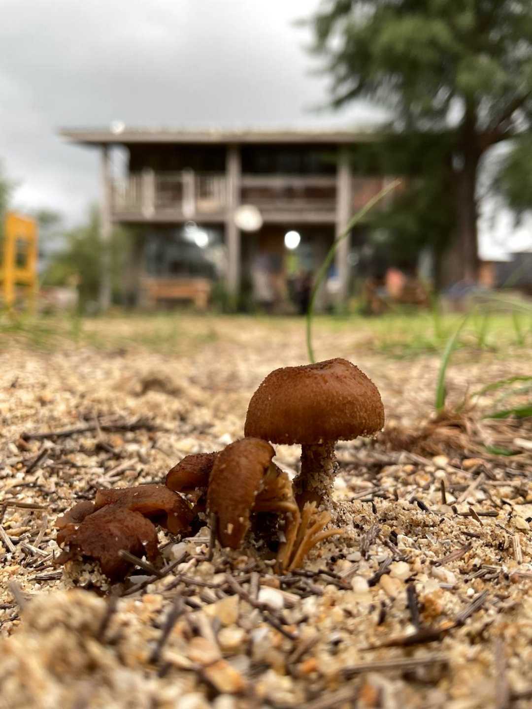 Nature