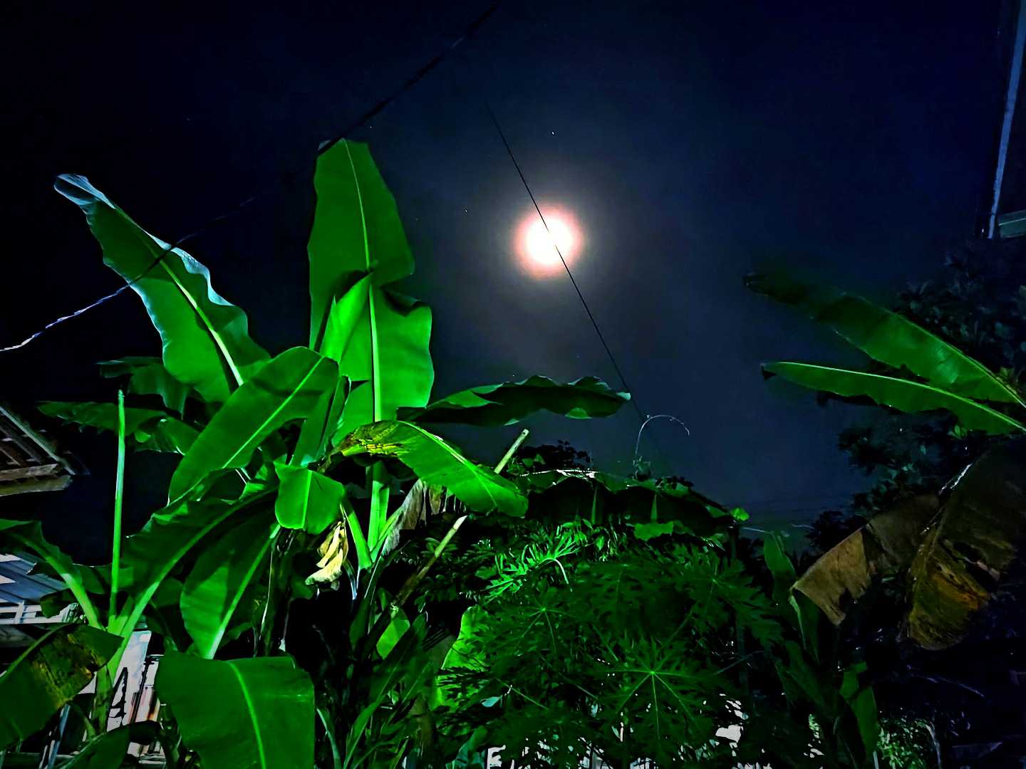 fakta unik tentang bulan