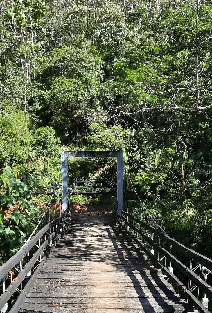 SAN CARLOS 🏞
