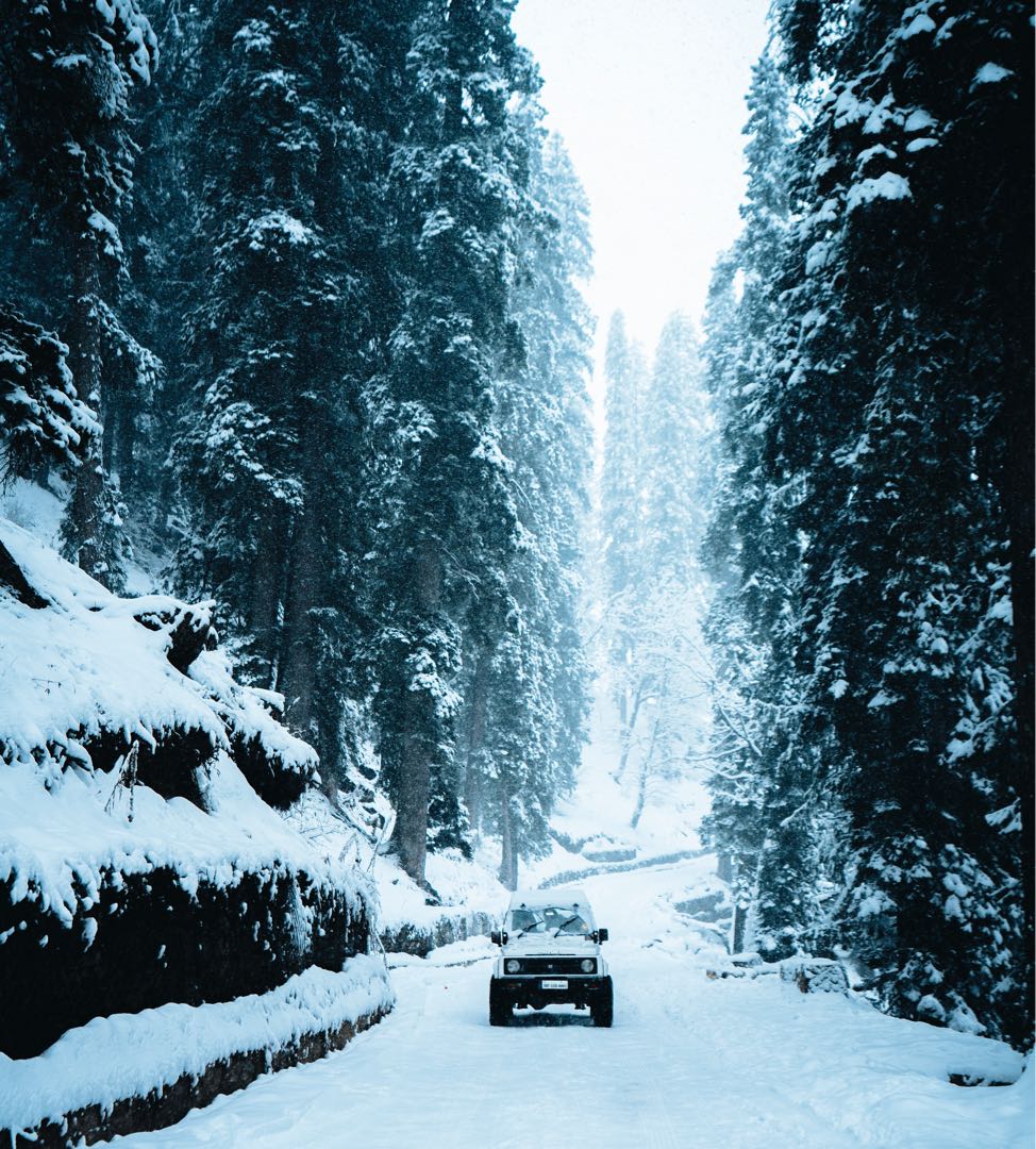 the Snowy India
