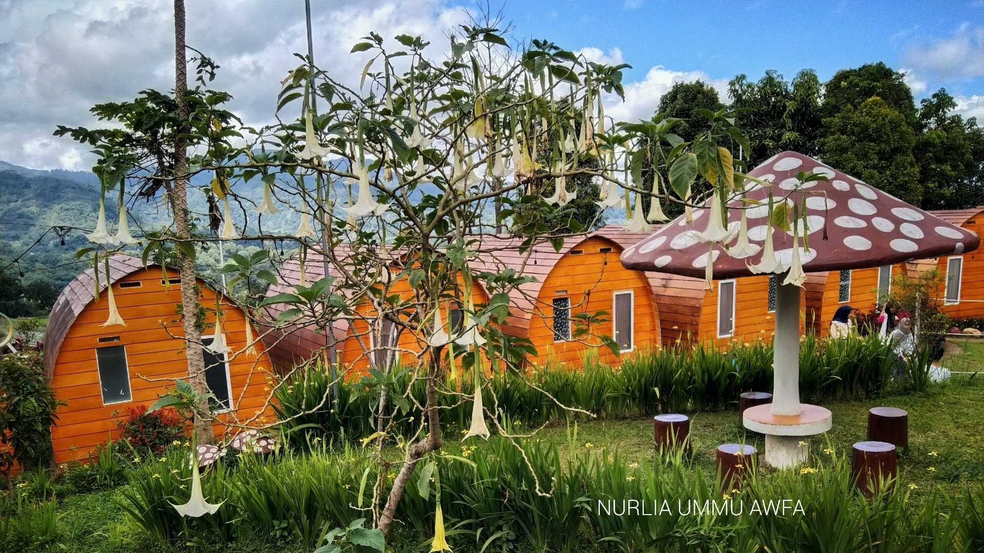 Rumah Kuraci D'Sawah Malino 