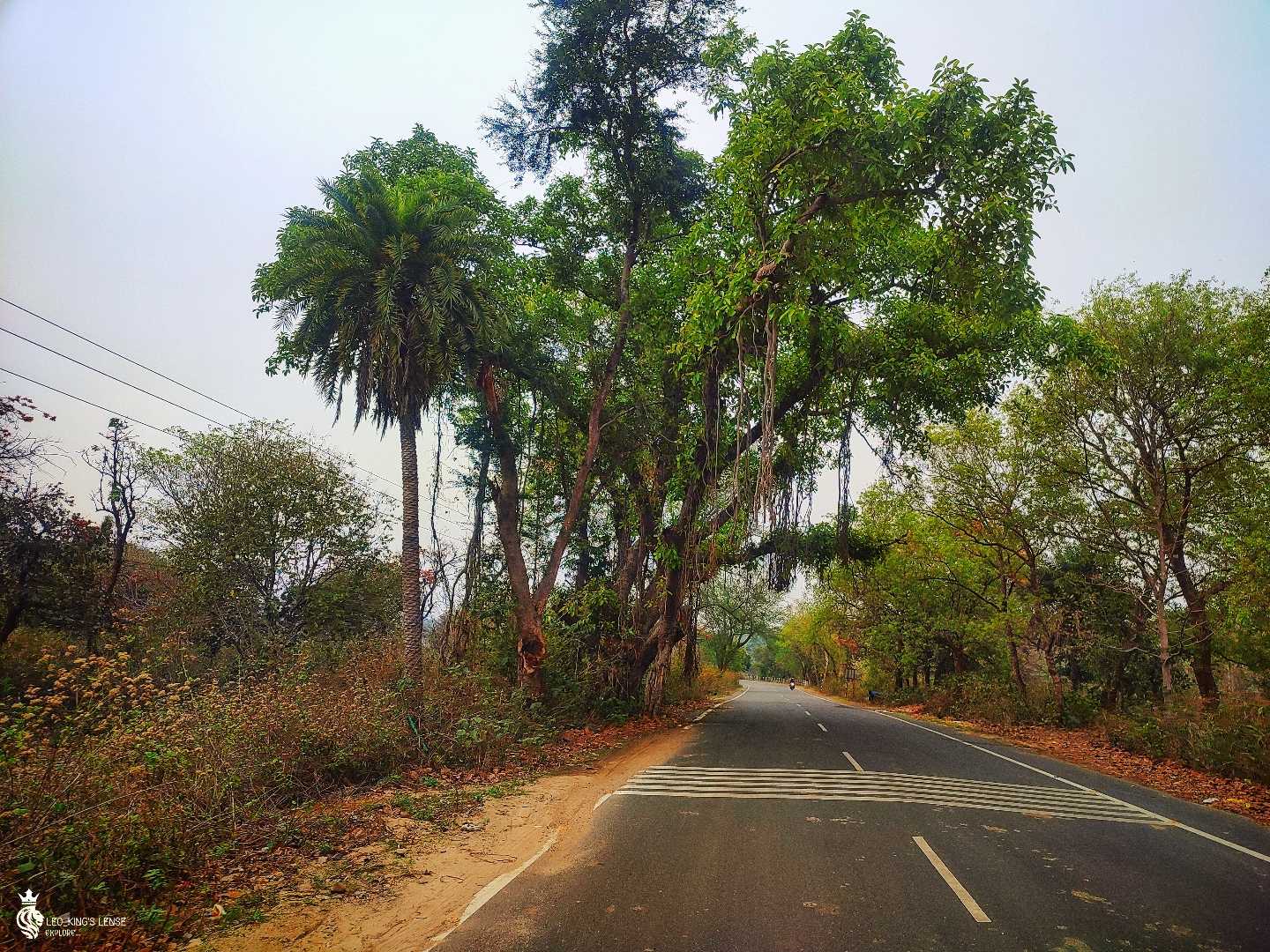 beautiful view of road