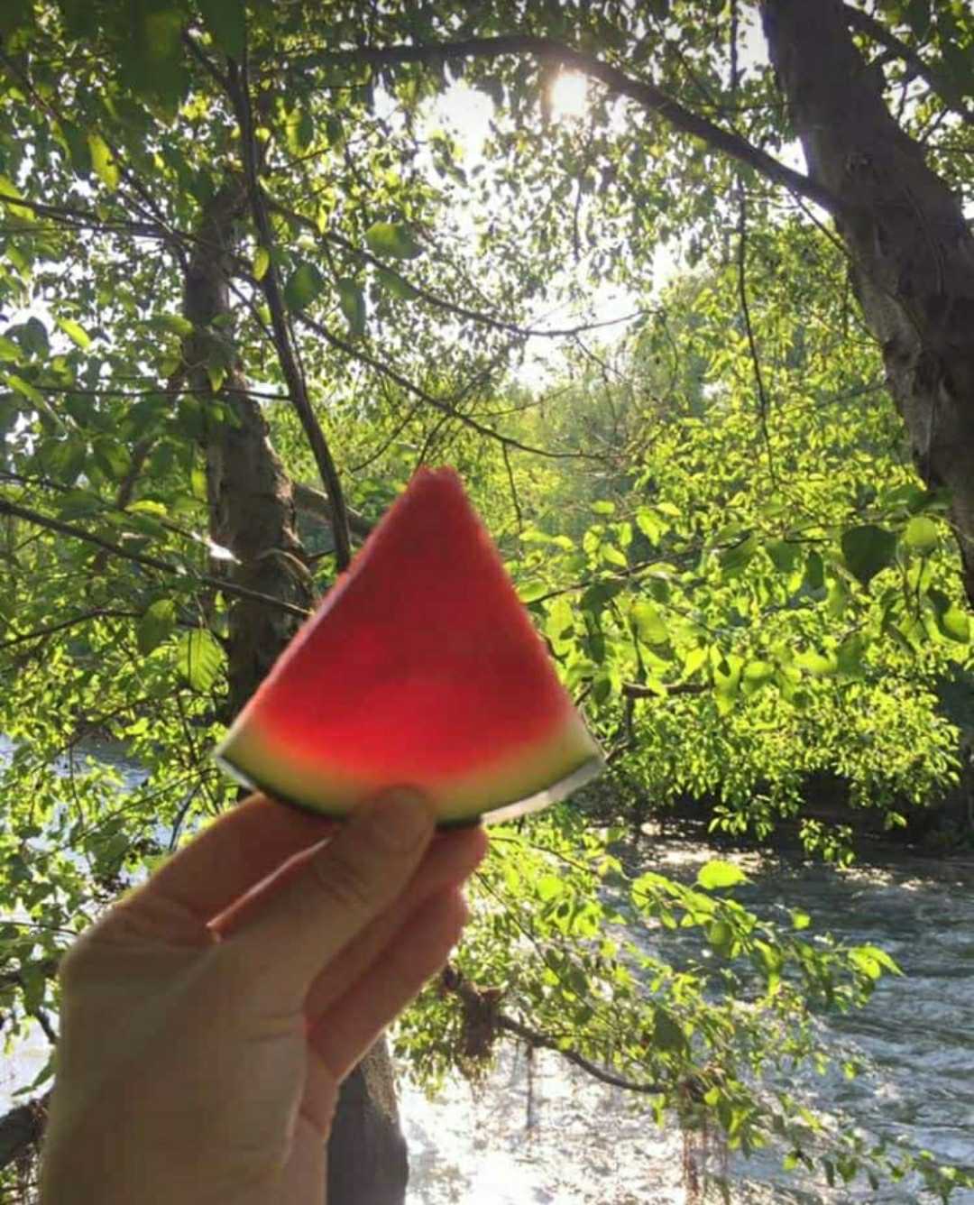 🍉