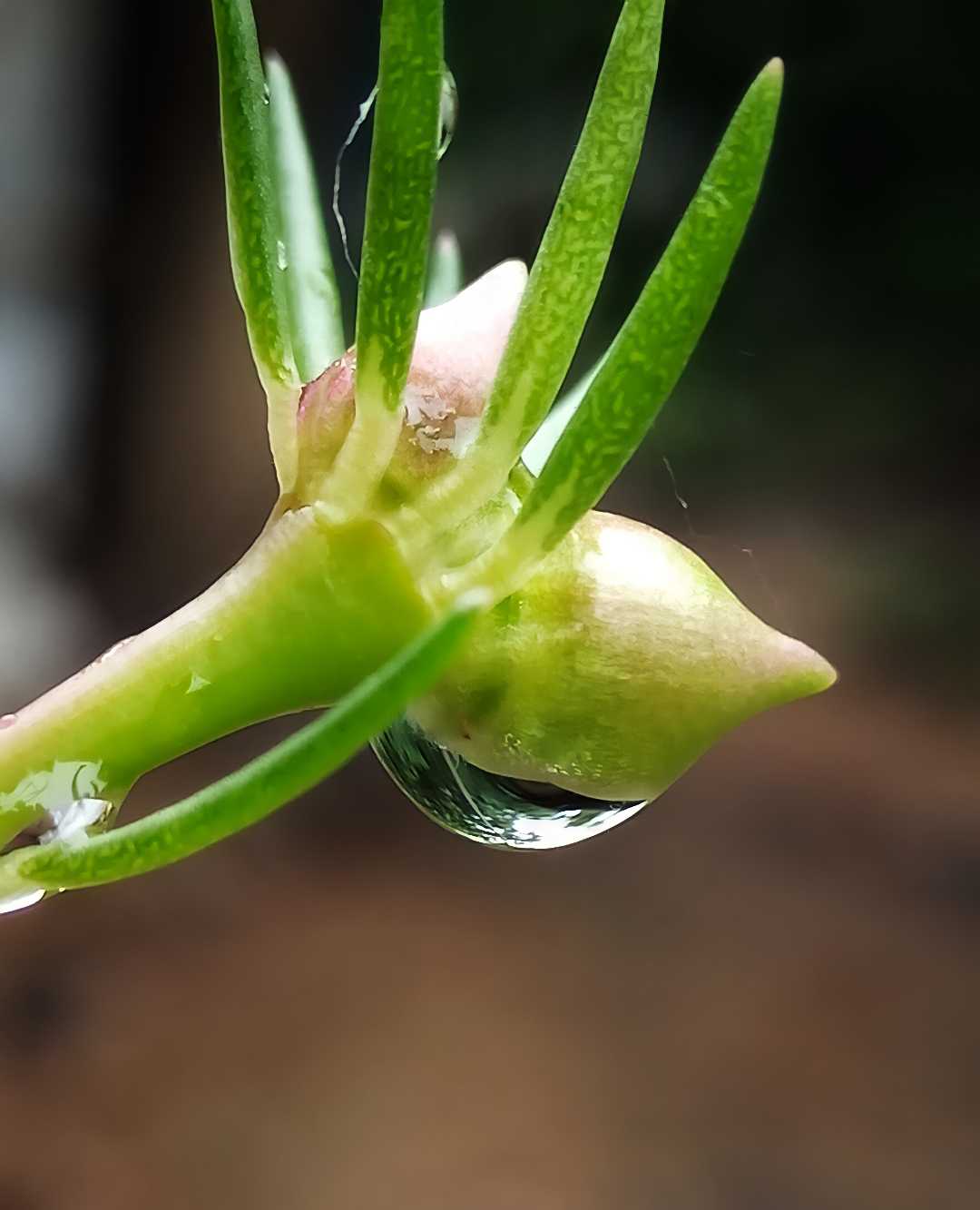 The Tiny Droplet💦