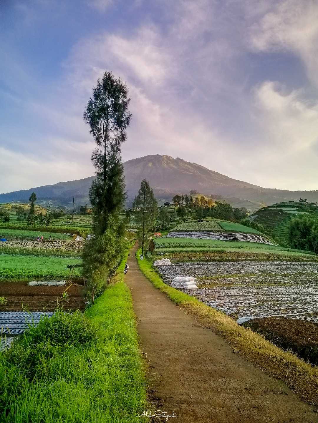indahnya sunrise di lereng gunung
