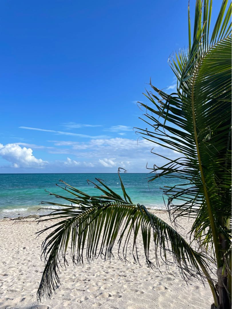 Tulum 🇲🇽