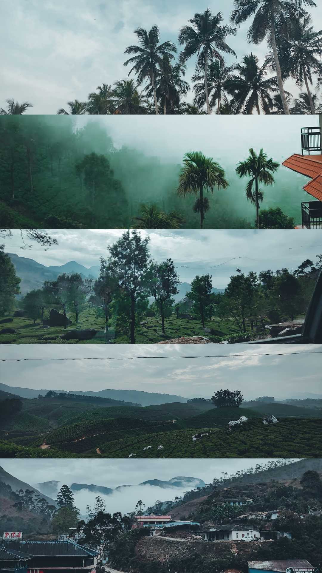 Kerala Nature