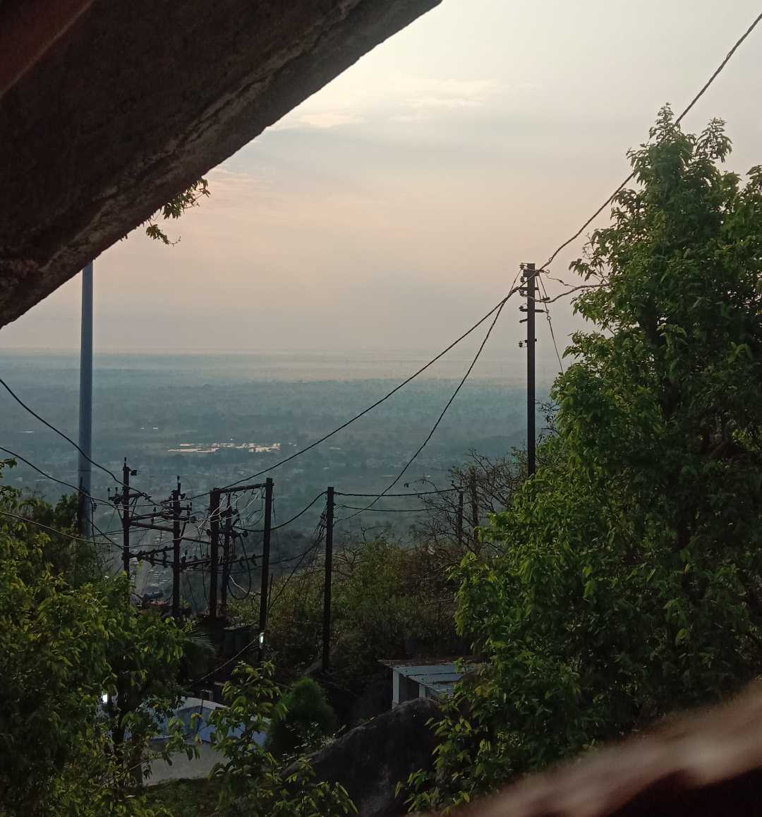 Morning View