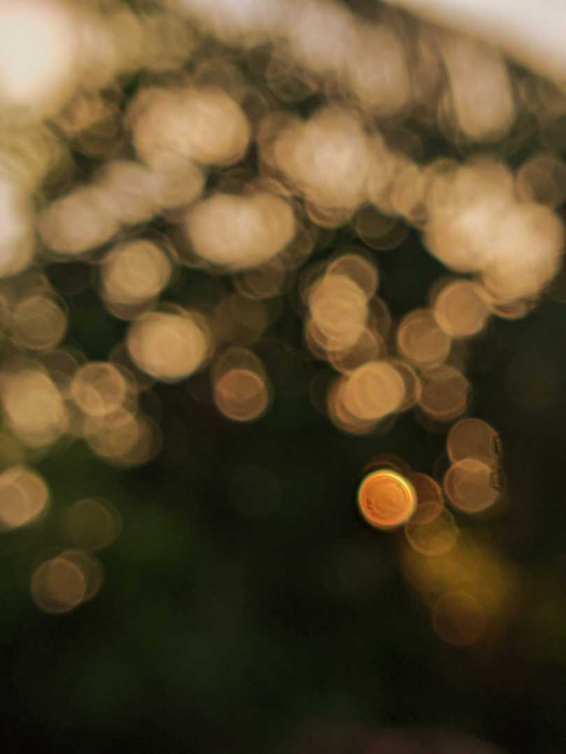 bokeh ✨