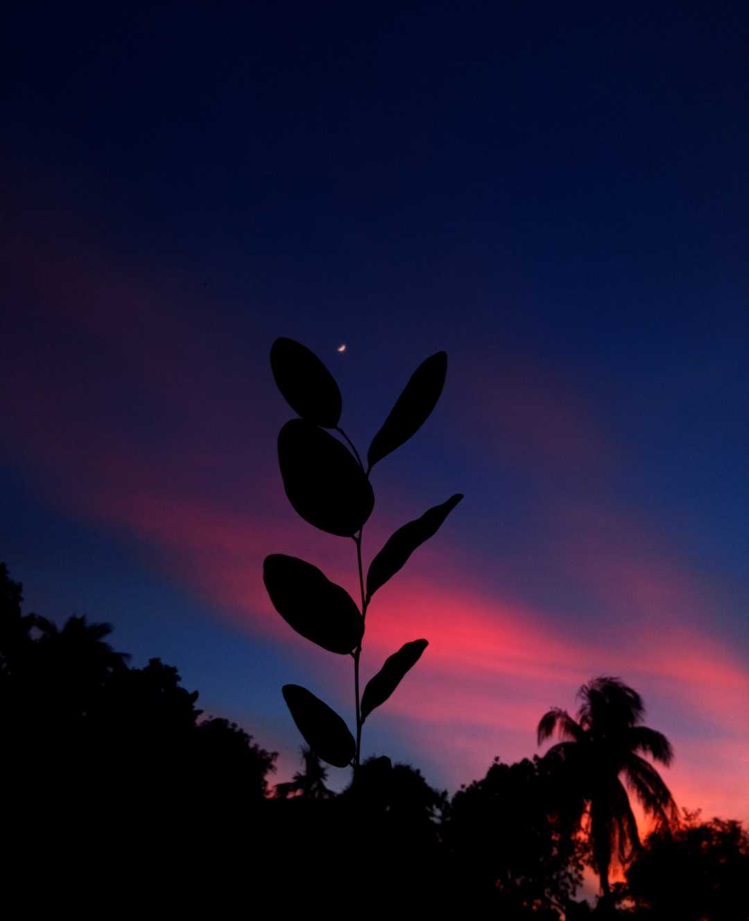 Beautiful Sunset🌅💓